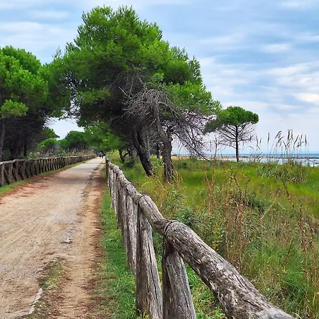 Relaxing By Sea And Pines Апартаменты