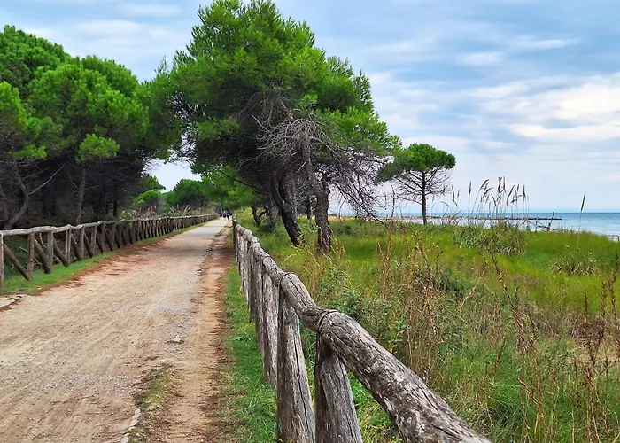 Relaxing By Sea And Pines شقة